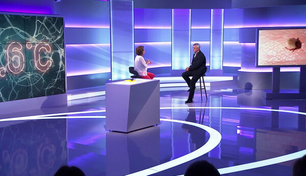 Co robić, gdy ugryzie nasz kleszcz?